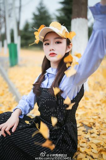 喜羊羊与灰太狼