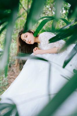 念无双电视剧免费观看完整版高清