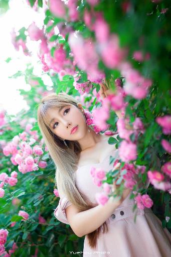 潘金莲的前世今生在线观看免费高清电视剧