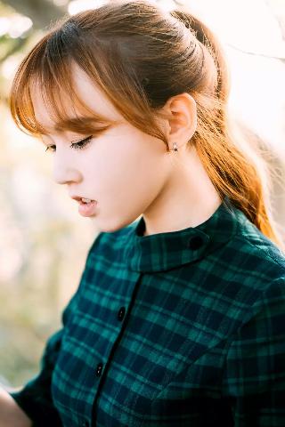 天才基本法电视剧免费观看