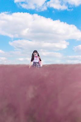 白色橄榄树电视剧完整版免费观看