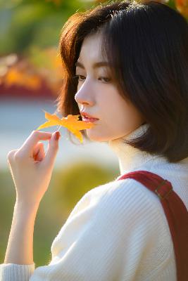 孤舟电视剧全集免费观看高清在线播放