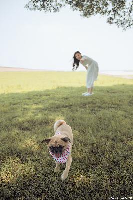 在线无人观看完整版高清电视剧