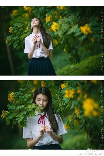 知否知否应是绿肥红瘦全集