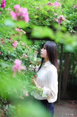 高清在线观看免费播放电视剧