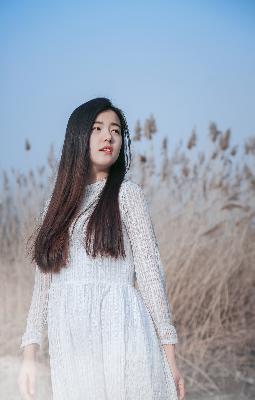 青柠影视剧大全黑暗荣耀